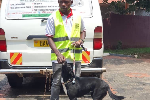 WhatsApp Image 2025-04-03 at 11.56.